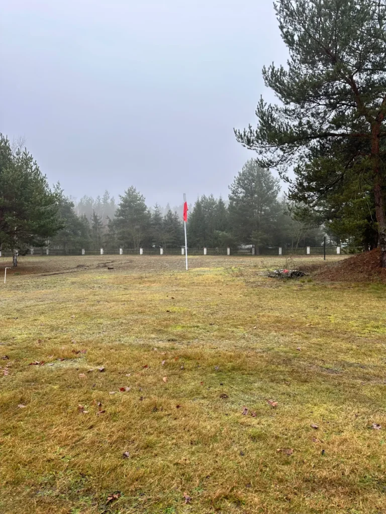Zamglony krajobraz z flagą w tle, ogrodzeniem i drzewami iglastymi na trawiastym terenie.