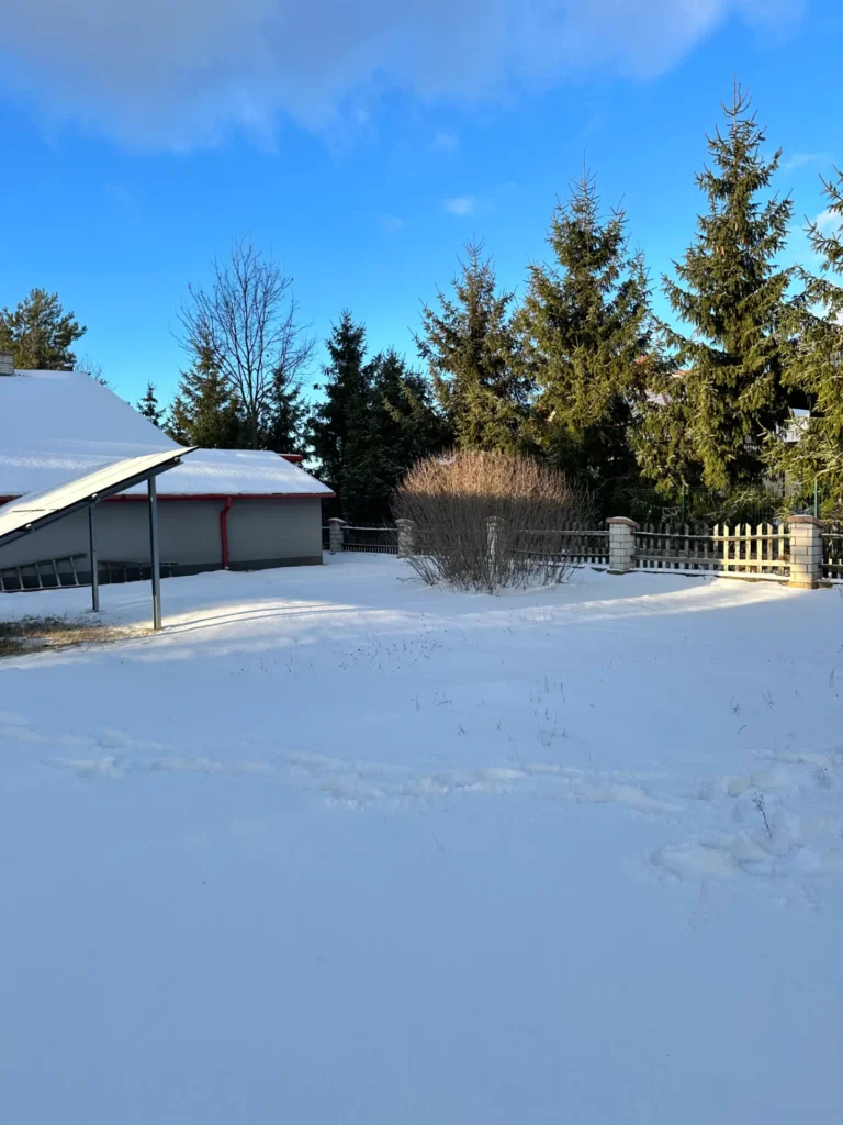 Zimowy krajobraz z zasypanym śniegiem ogrodem, drzewami iglastymi i niebieskim niebem.