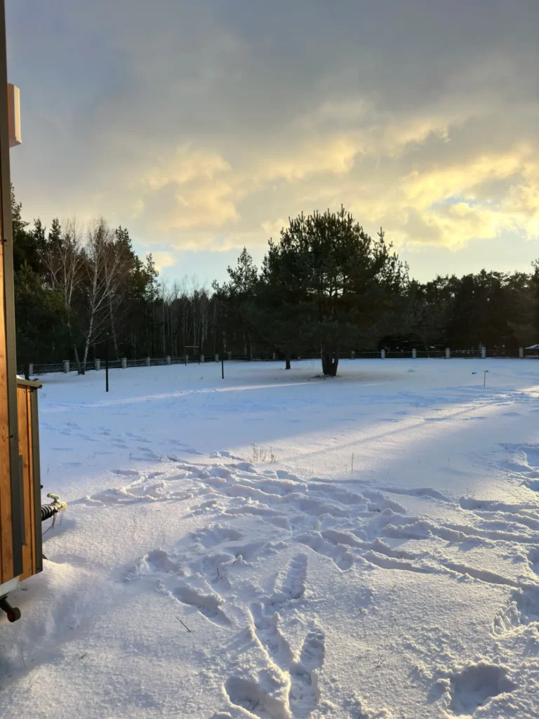 Zimowy krajobraz z widokiem na las i zaśnieżony teren, ślady w śniegu oraz mobilny domek w tle.