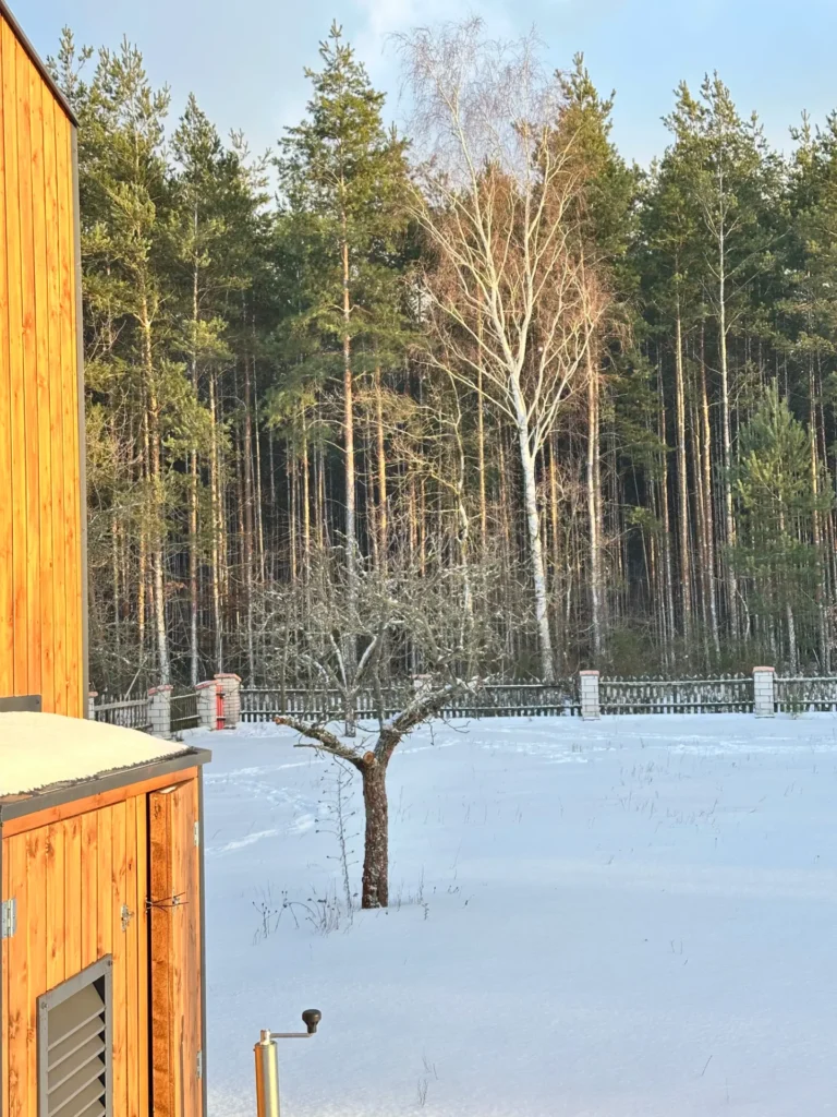 Mobilny domek z drewnianą elewacją, widok na zaśnieżony teren, drzewa iglaste i ogrodzenie w tle.