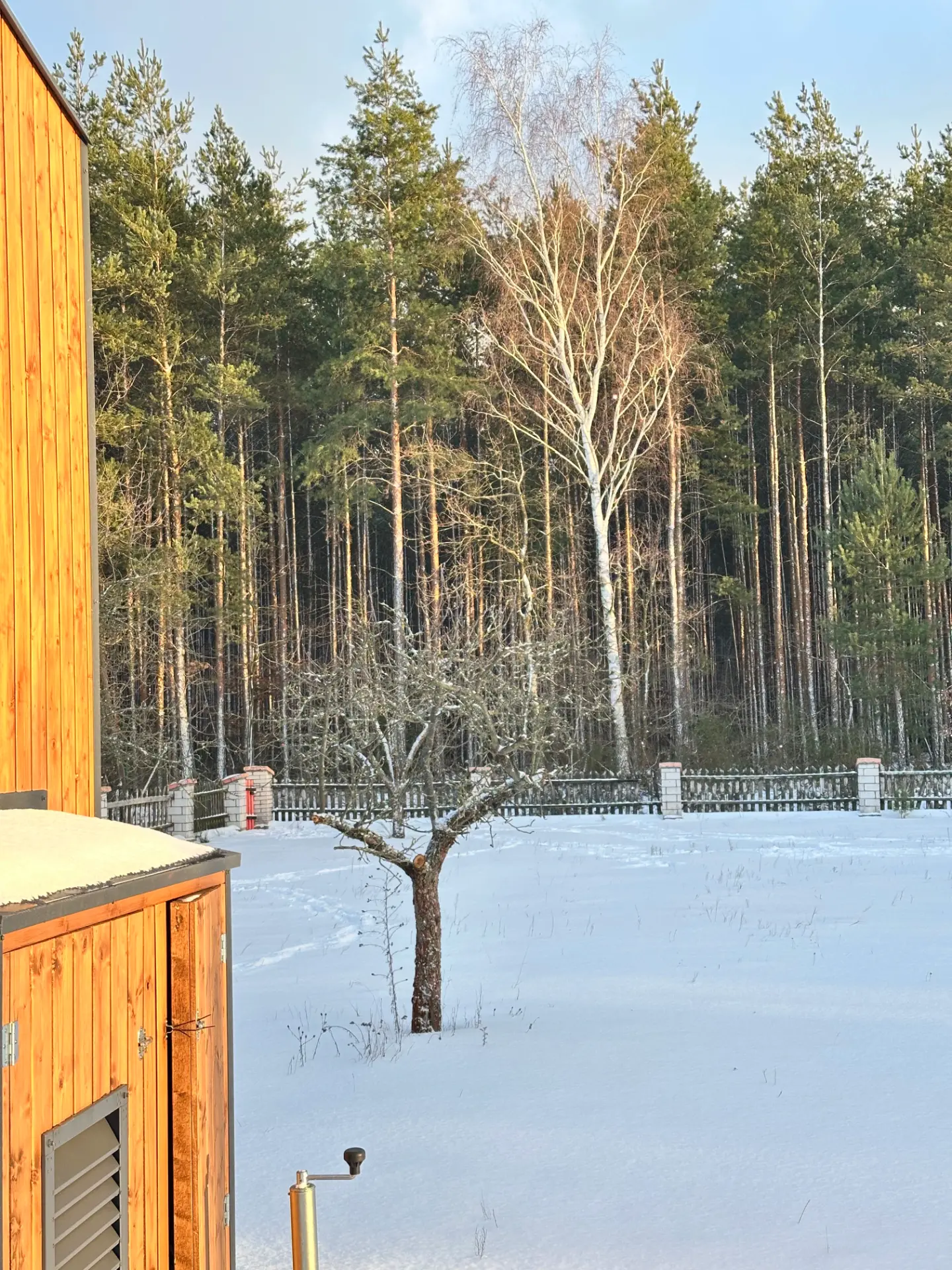 Mobilny domek z drewnianą elewacją, widok na zaśnieżony teren, drzewa iglaste i ogrodzenie w tle.
